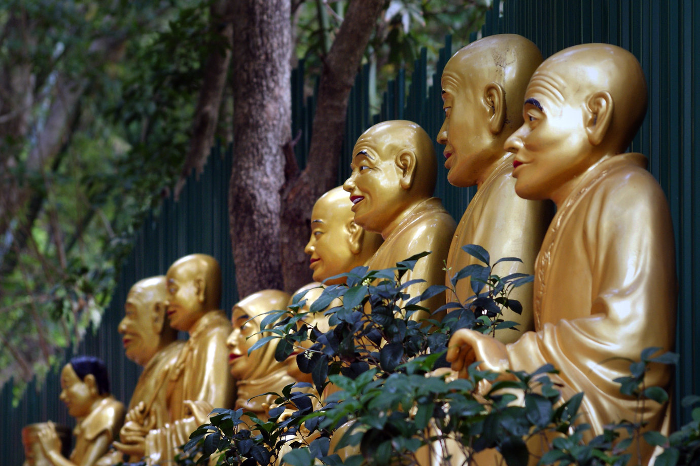 Ten Thousand Buddhas Monastery