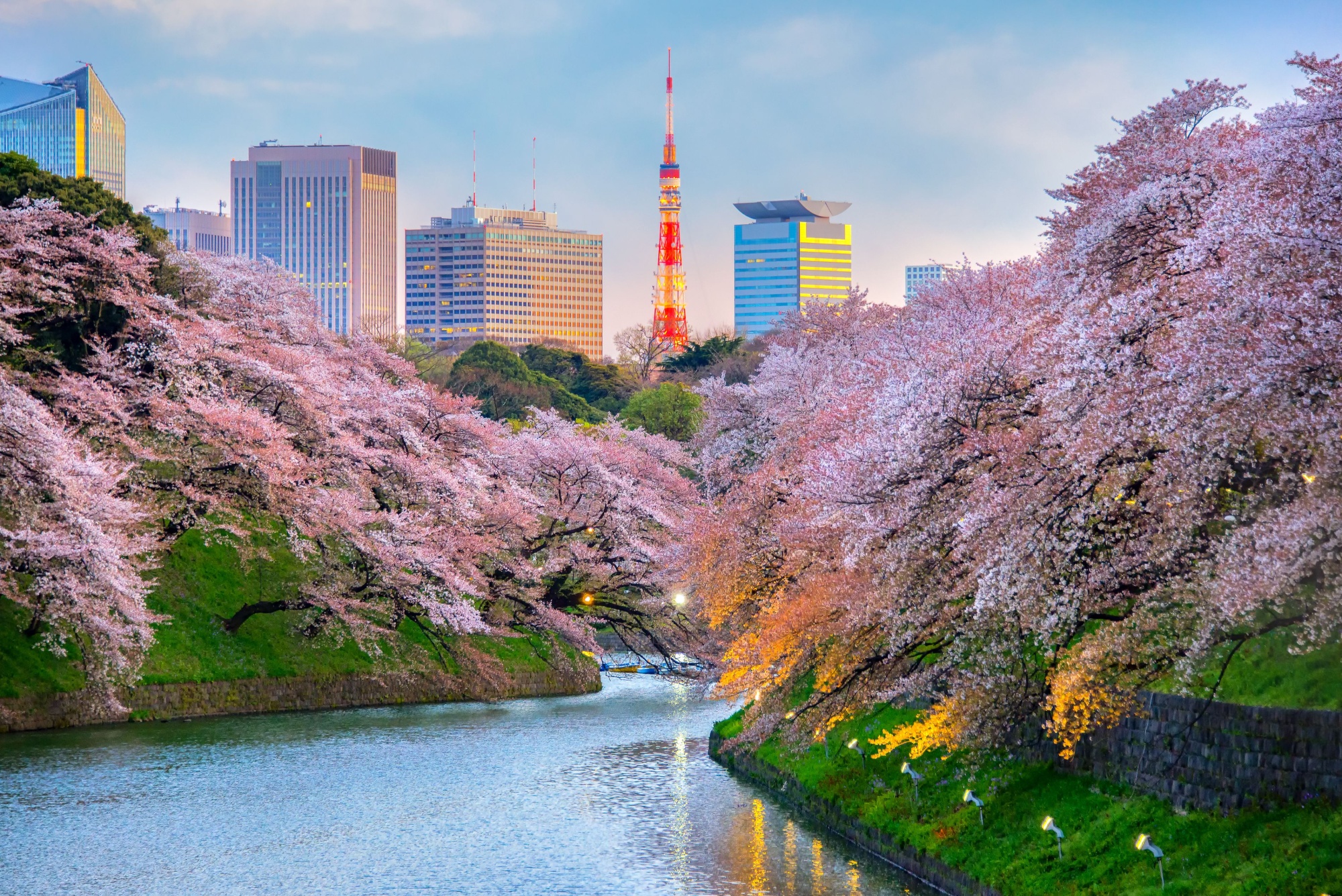 Shutterstock 577077346 Tokyo 