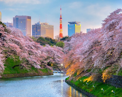 Embark Norwegian Jade in Tokyo, Japan