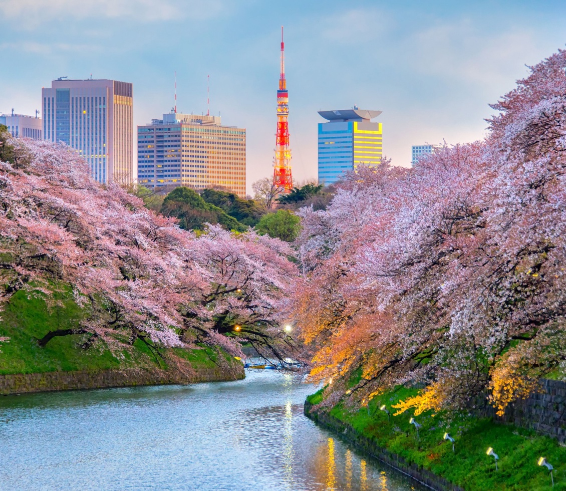 Chidorigafuchi Park, Tokyo 