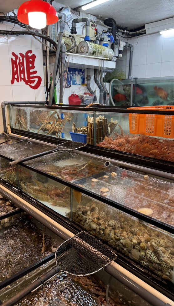 Hong Kong fish market