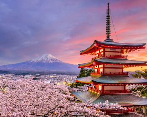 Shutterstock Cherry Blossom Mount Fuji Japan