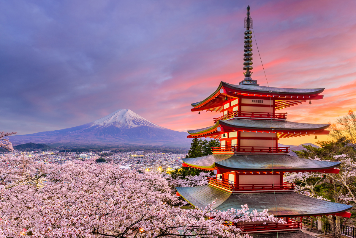 Shutterstock Cherry Blossom Mount Fuji Japan
