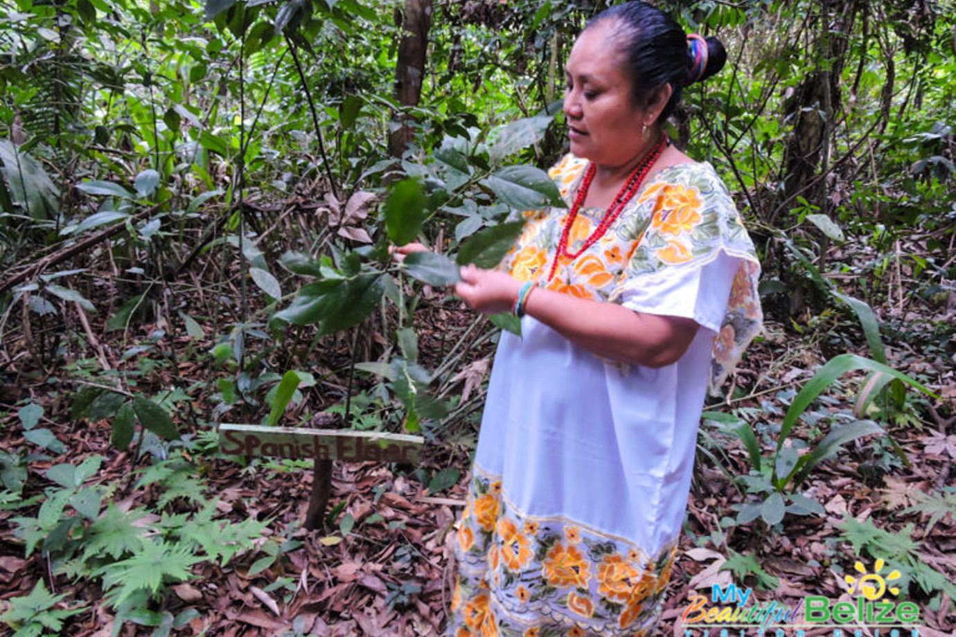 Traditional Mayan Healer
