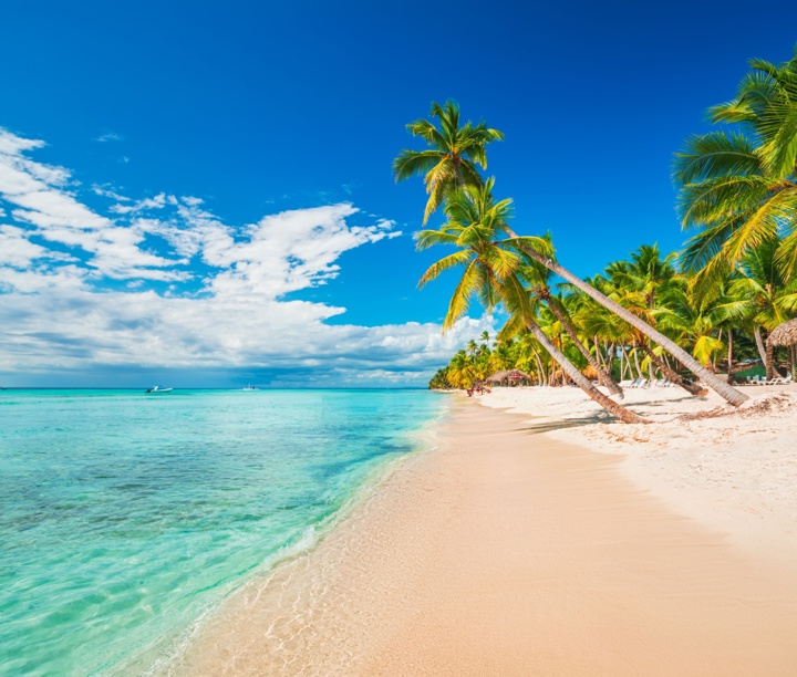 Florida Fun & Bahamas Island Bliss
