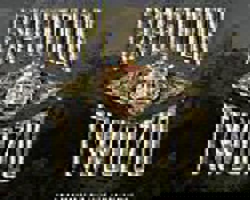 RCI Anthem of the Seas Expedition Two70®.jpeg