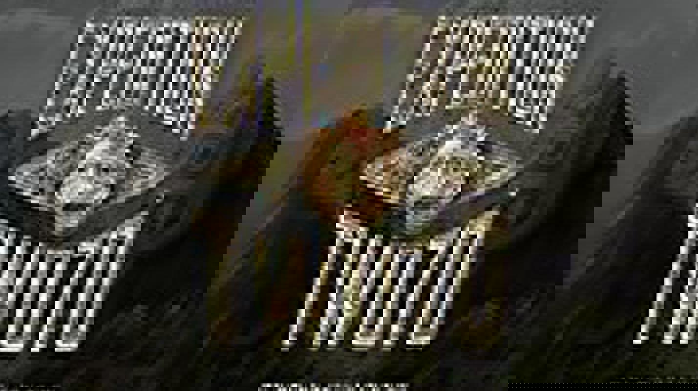 RCI Anthem of the Seas Expedition Two70®.jpeg