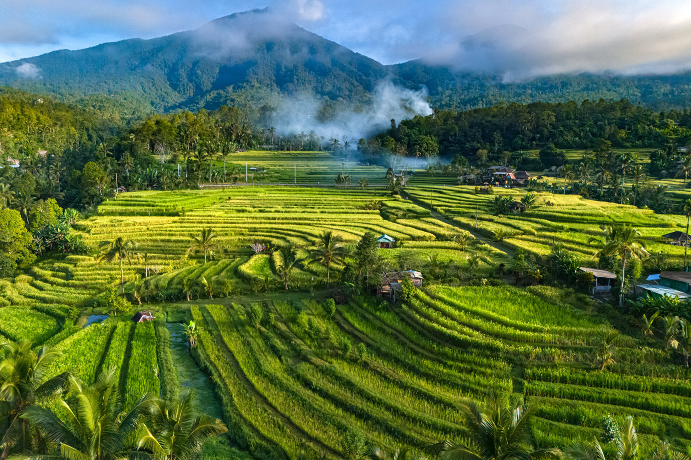 Tegallalang Rice Terrace