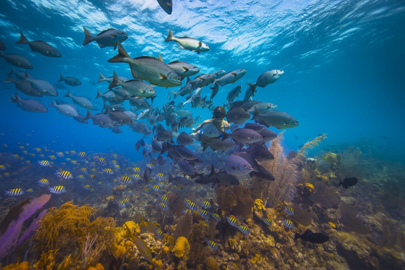 Belize Barrier Reef