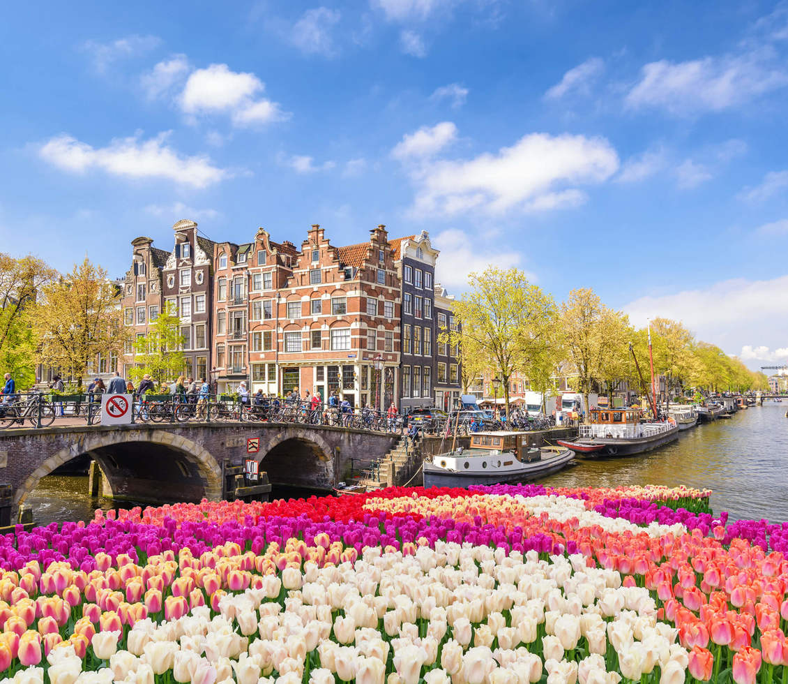 Amsterdam Tulip Season 