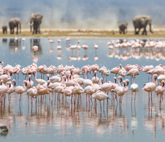 Amboseli National Park