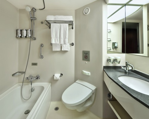 HAL Nieuw Amsterdam Verandah 2.jpg