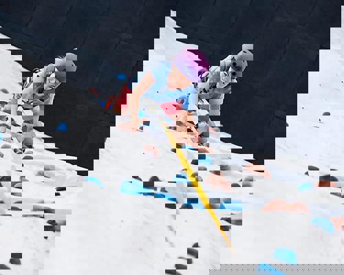 RCI Rock Climbing Wall 4.jpeg