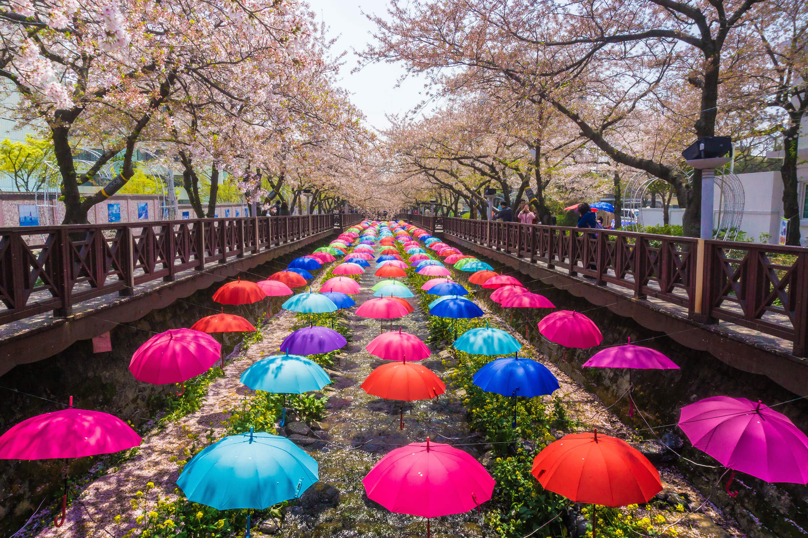 Busan Shutterstock 564421015