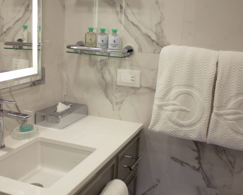 OC O Inside Stateroom Bathroom 2024 06 12 11 14 27