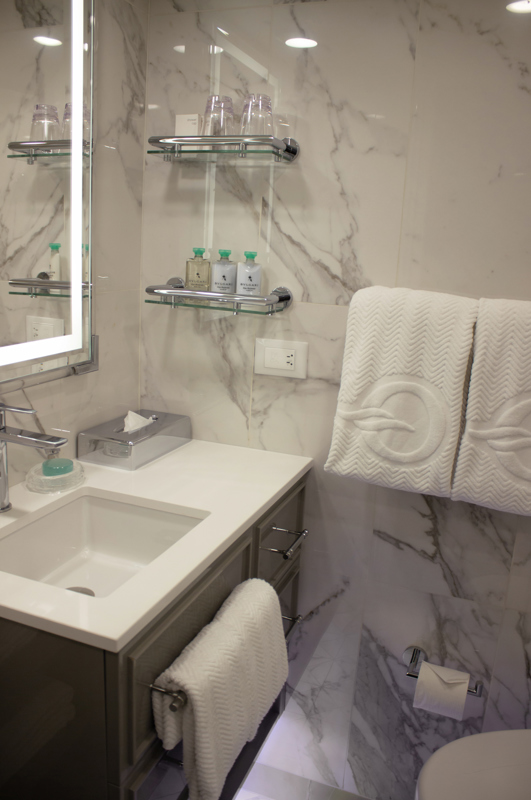 OC O Inside Stateroom Bathroom 2024 06 12 11 14 27