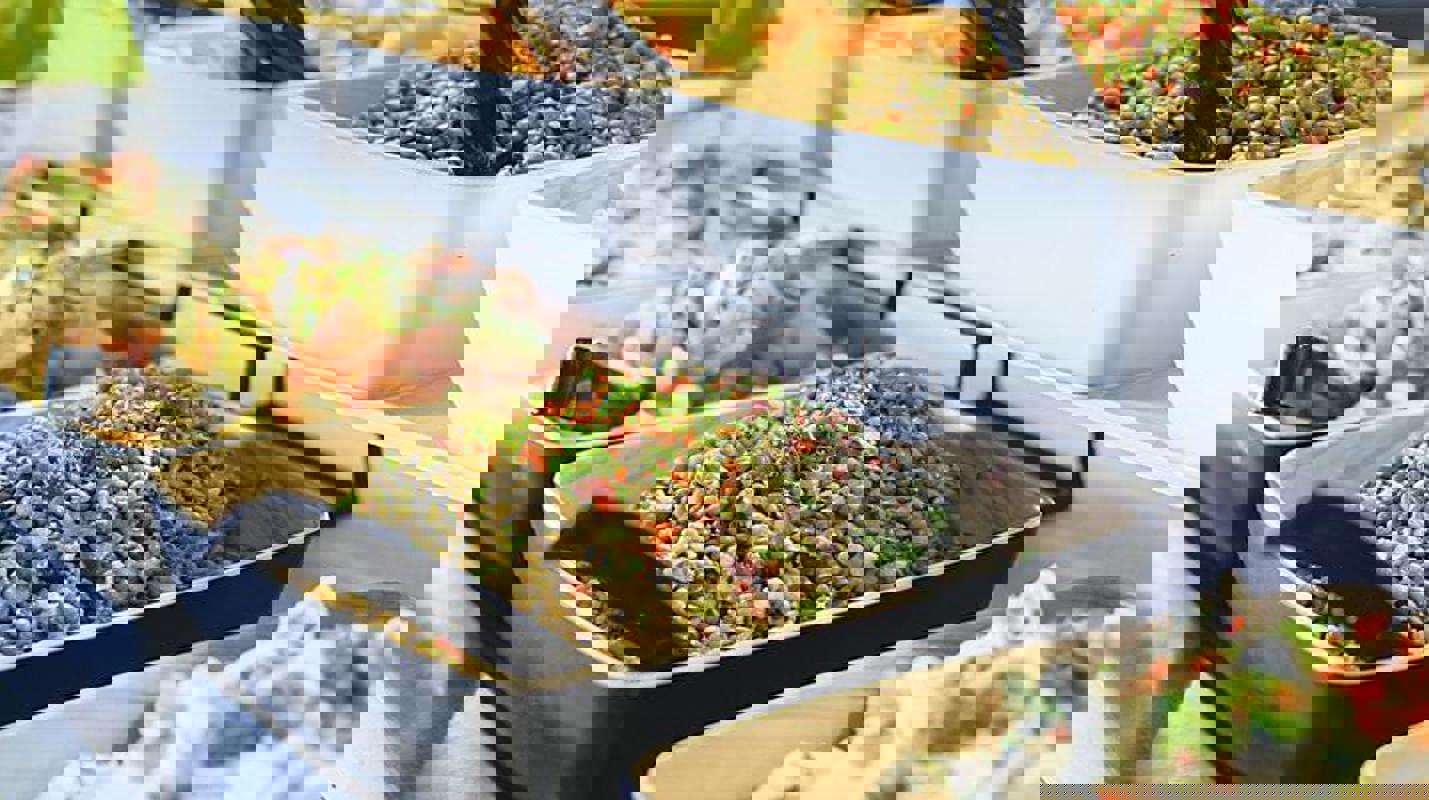 RCI Windjammer Marketplace.JPG