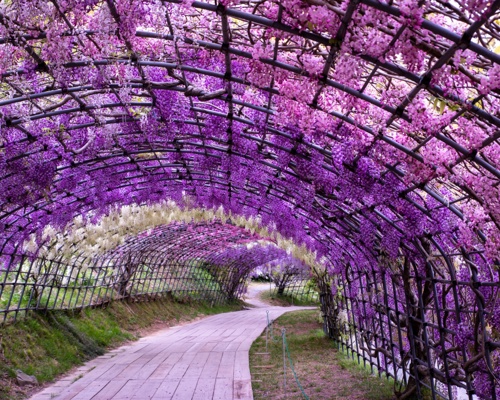 Shutterstock 2009259923 Kitakyushu Japan
