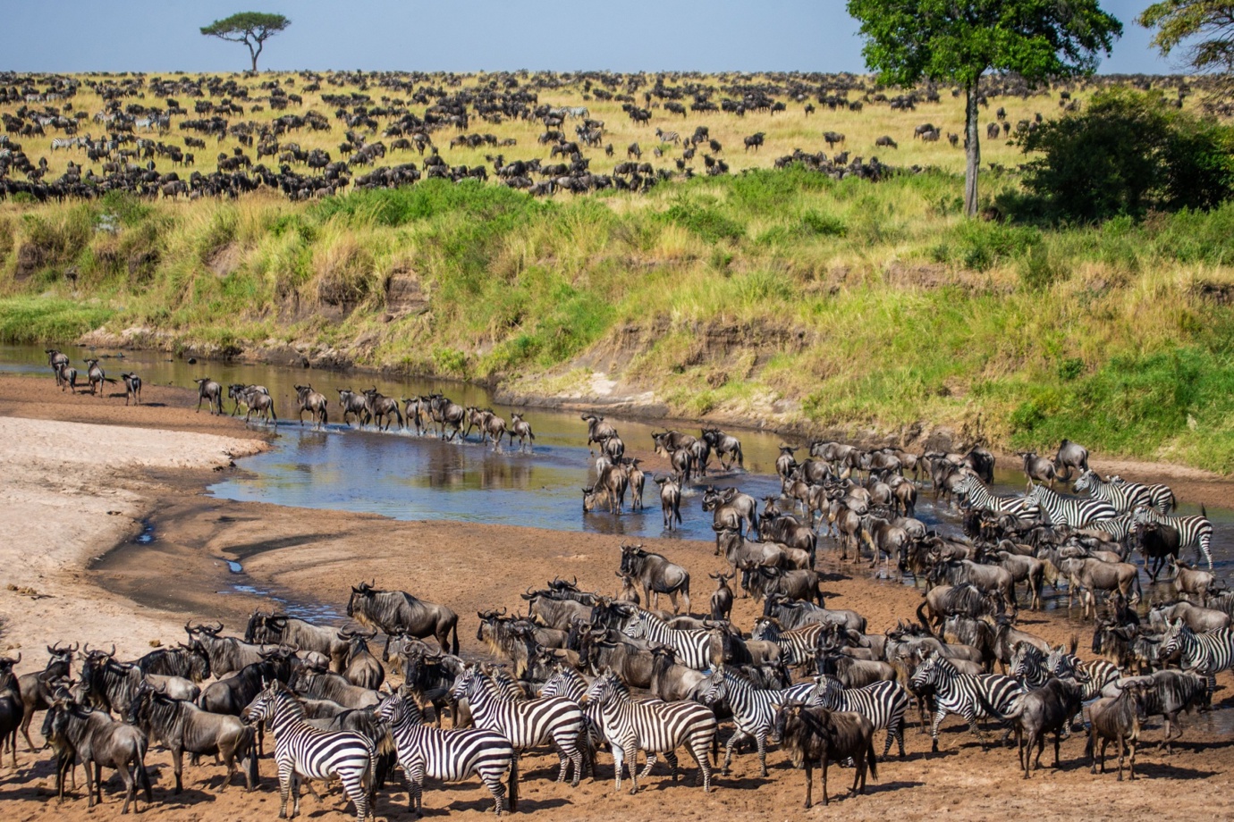 Great Migration
