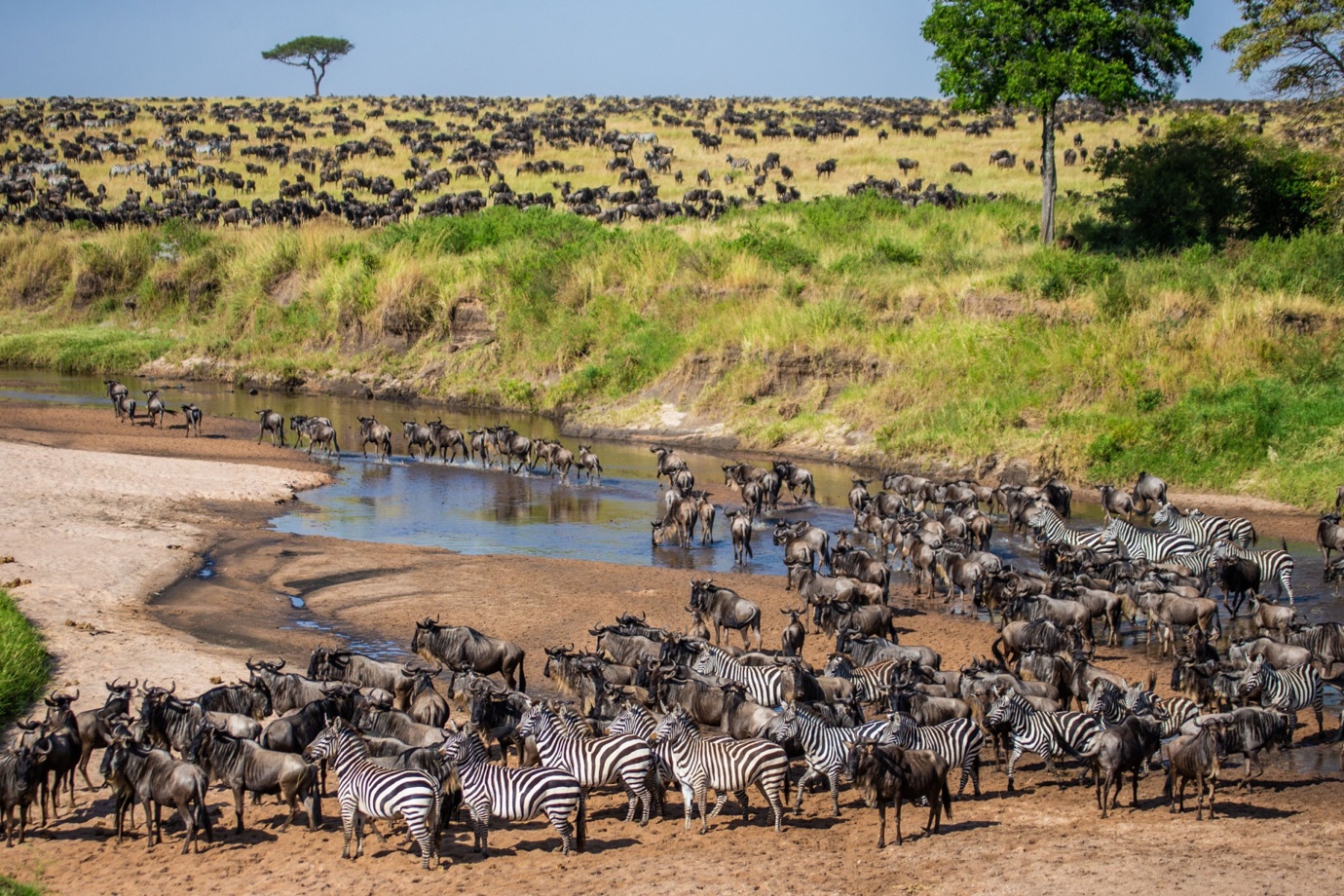 Great Migration