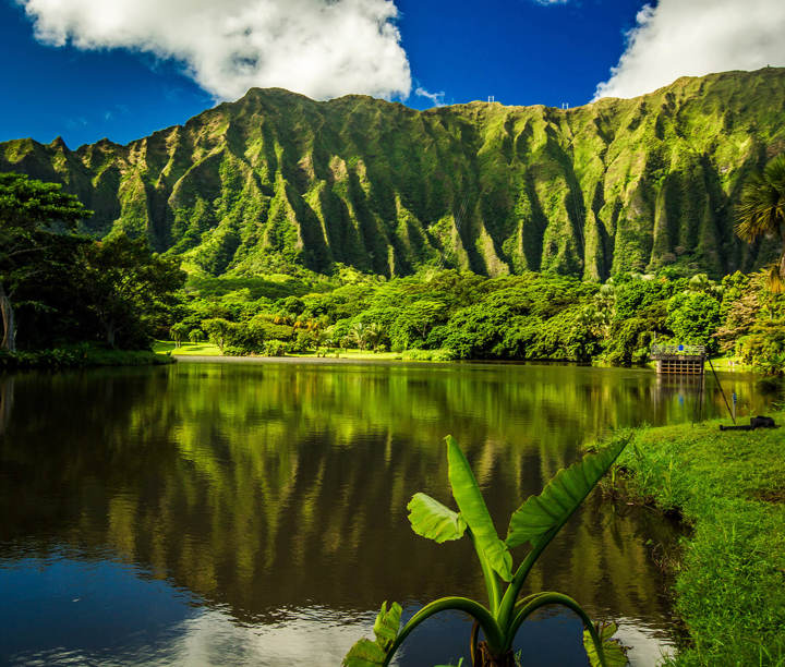 Islands of Aloha: Hawaiian Paradise Discovery