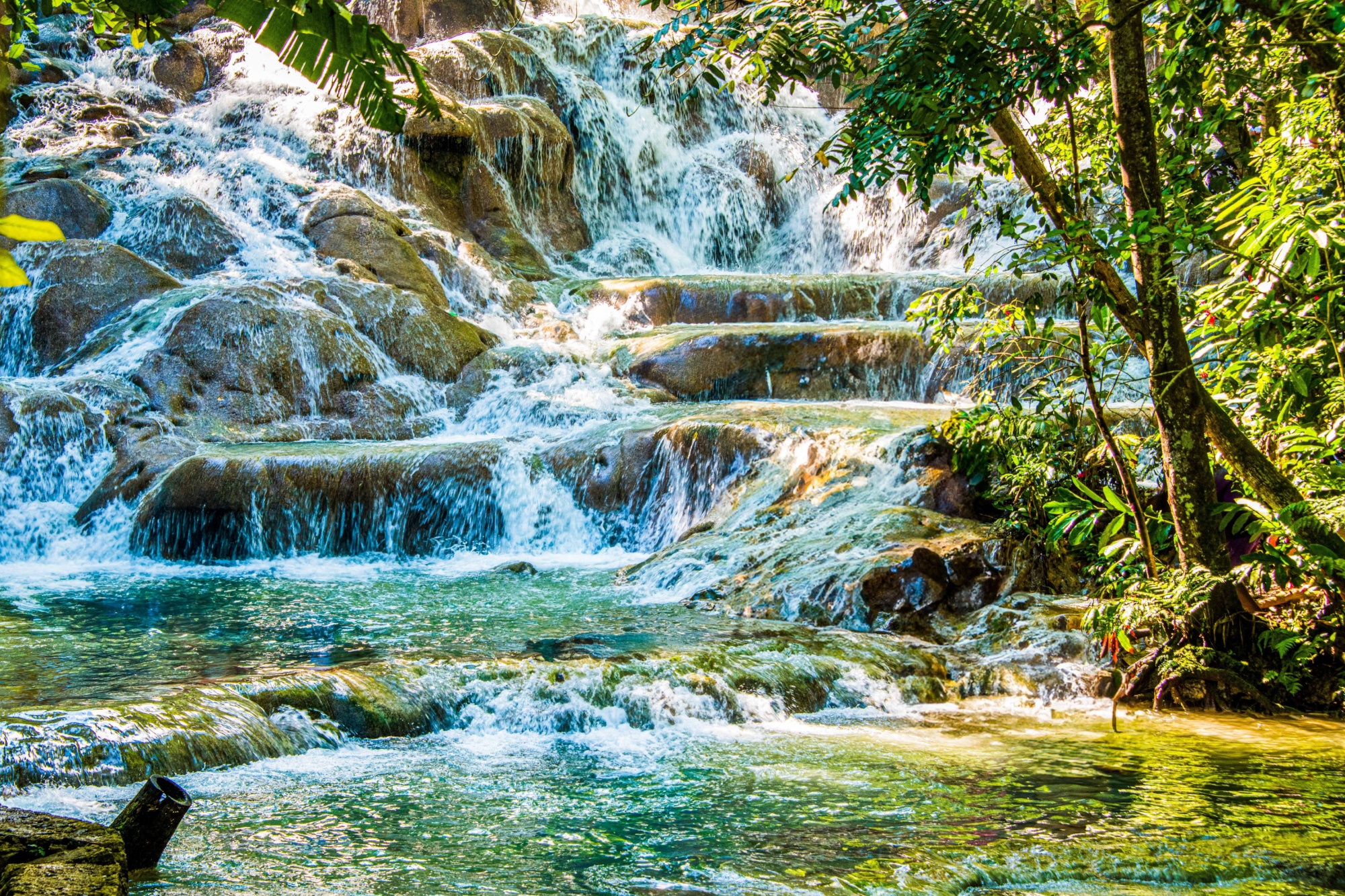 Shutterstock 2325211673 Jamaica