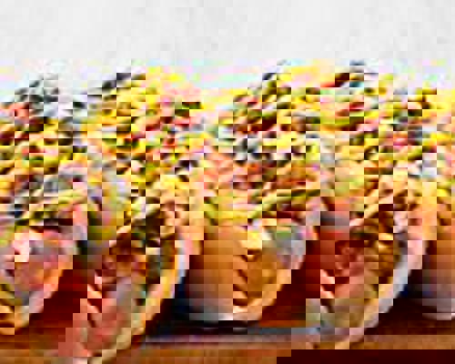 RCI Wonder of the Seas Dog House.jpeg