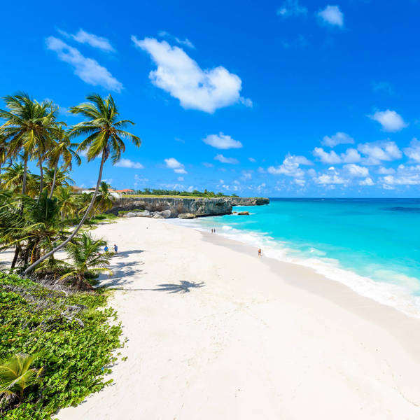 2025 Cruise Deals | LoveitBookit