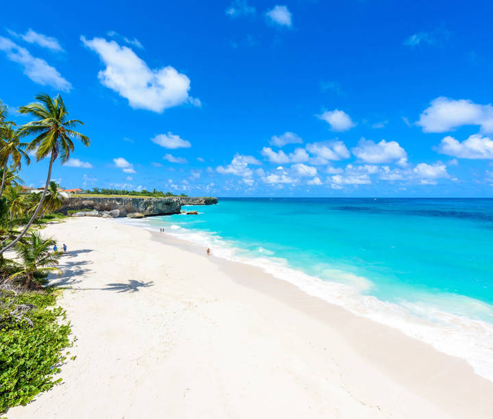 New York Skyscrapers to Caribbean Shores