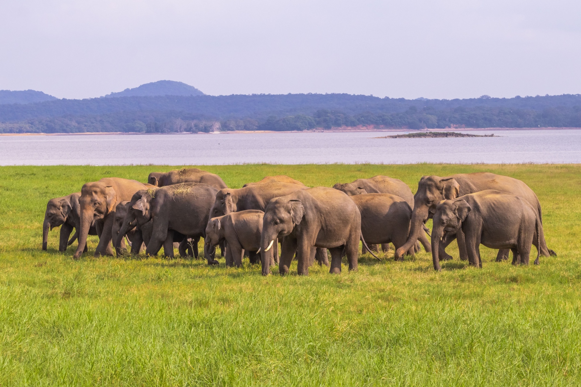 Shutterstock 2153540625 Hambantota Sri Lanka