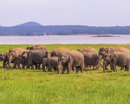 Hambantota, Sri Lanka