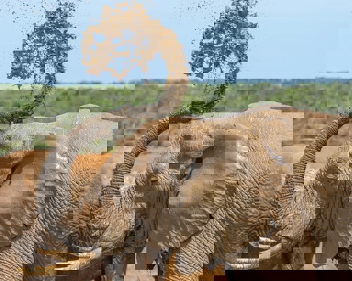 Port Elizabeth, South Africa (Overnight Port Stay)