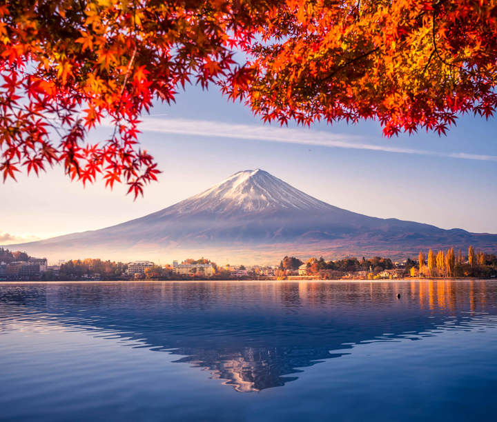 2026 Cruise Deals | LoveitBookit