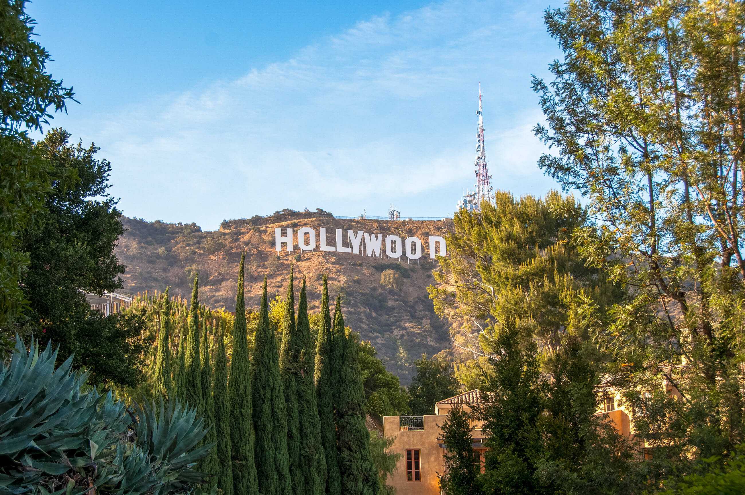 Los Angeles Shutterstock 1164563563