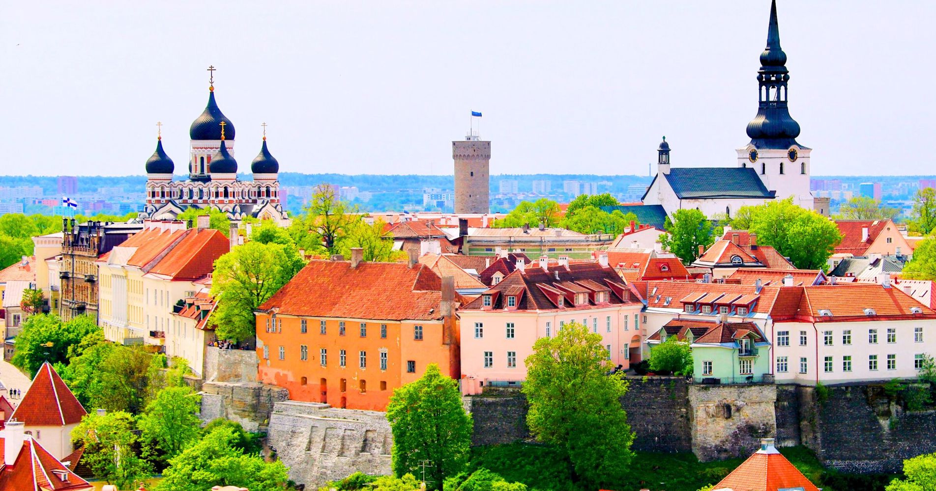 History and Culture