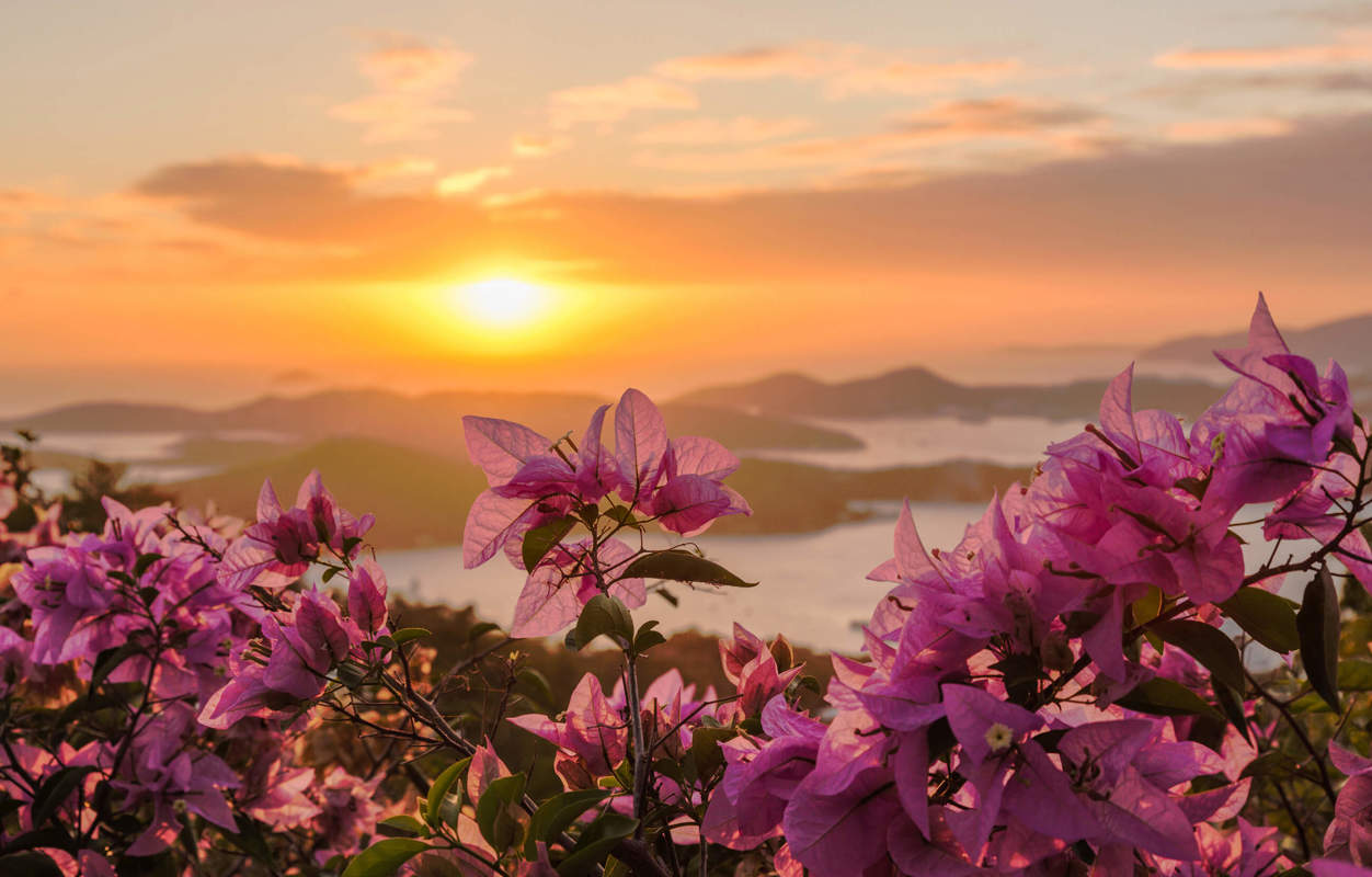 Shutterstock 129513908 St Thomas