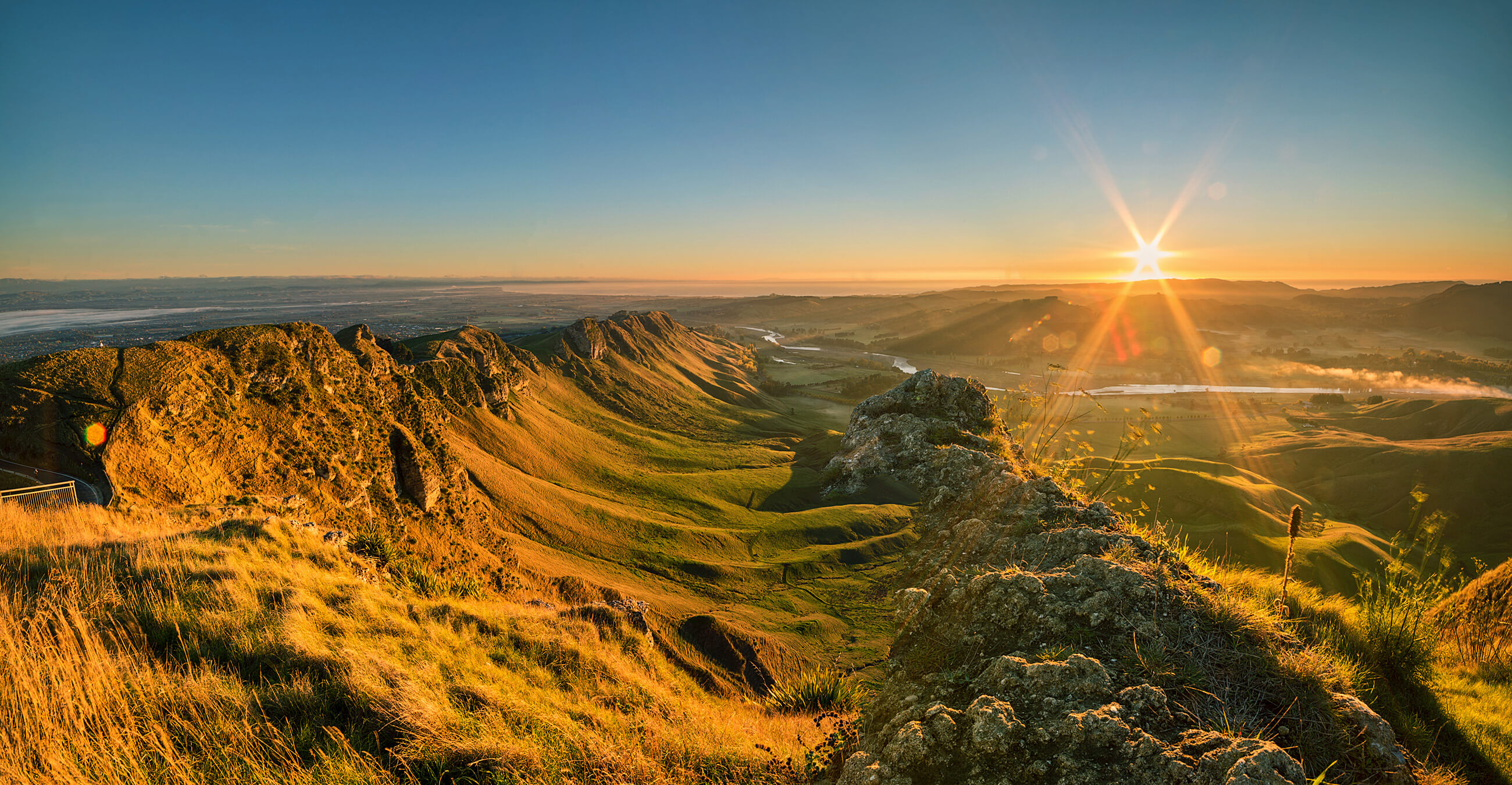 Napier Shutterstock 424034611