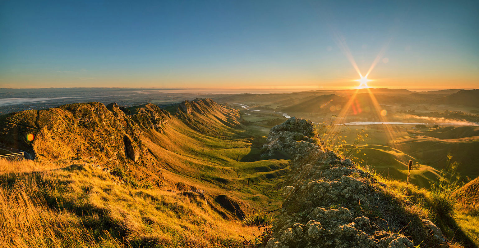 Napier Shutterstock 424034611