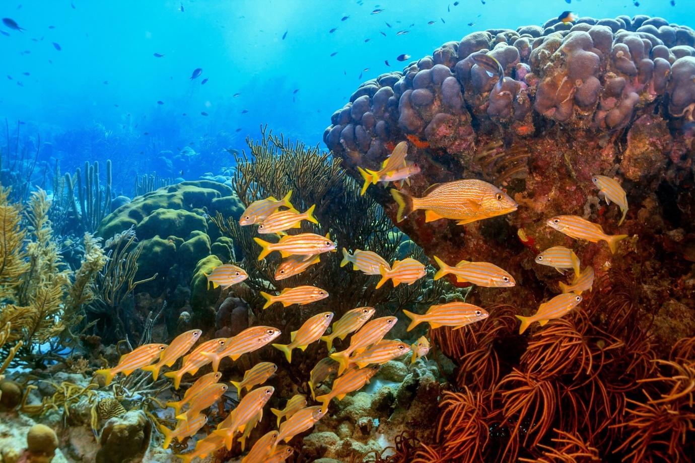 Cayman Islands