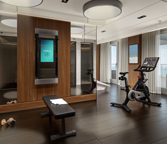 Skyview Regent Suite Private Gym