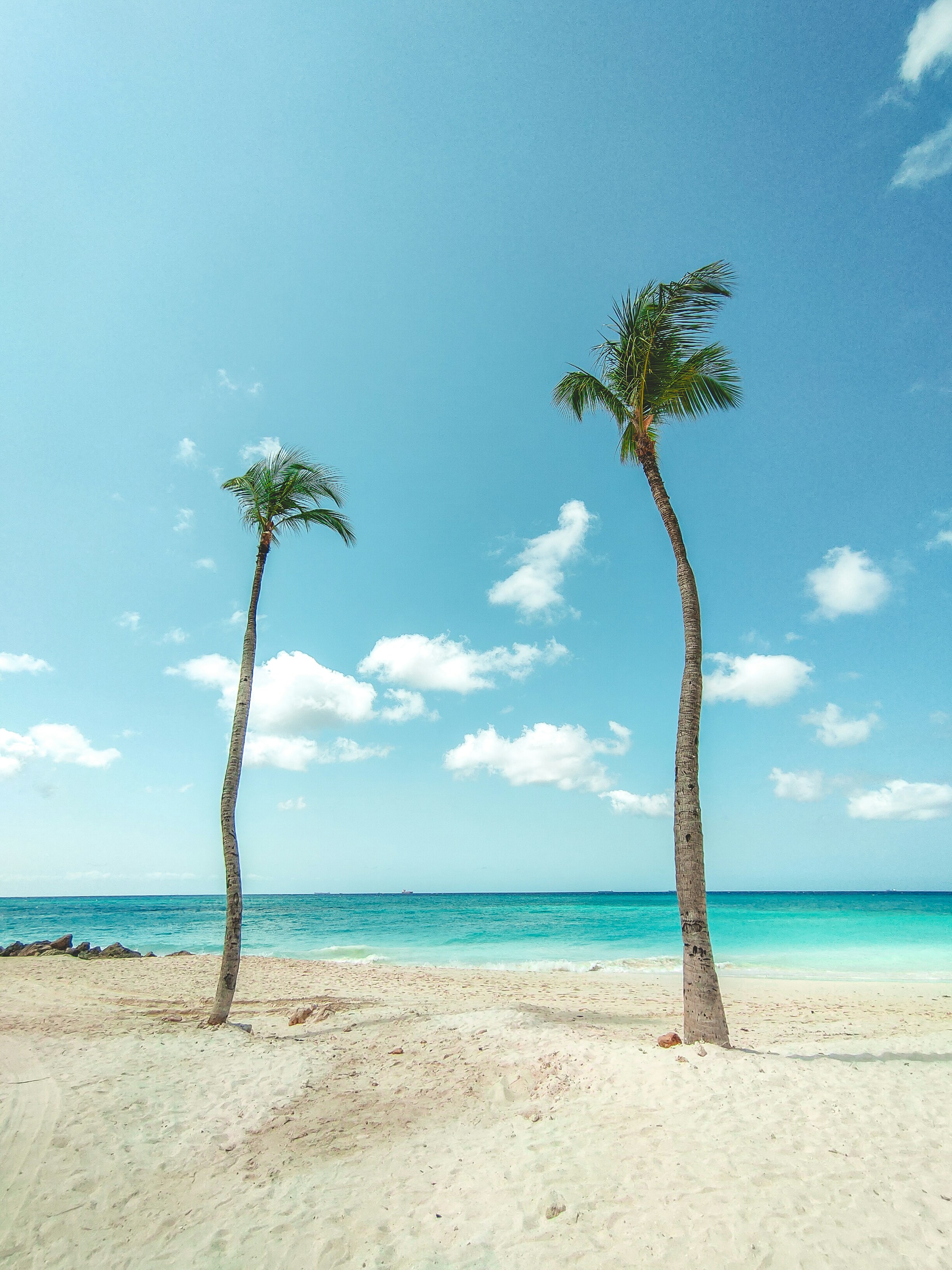 Casa Del Mar Beach Resort Oranjestad Aruba