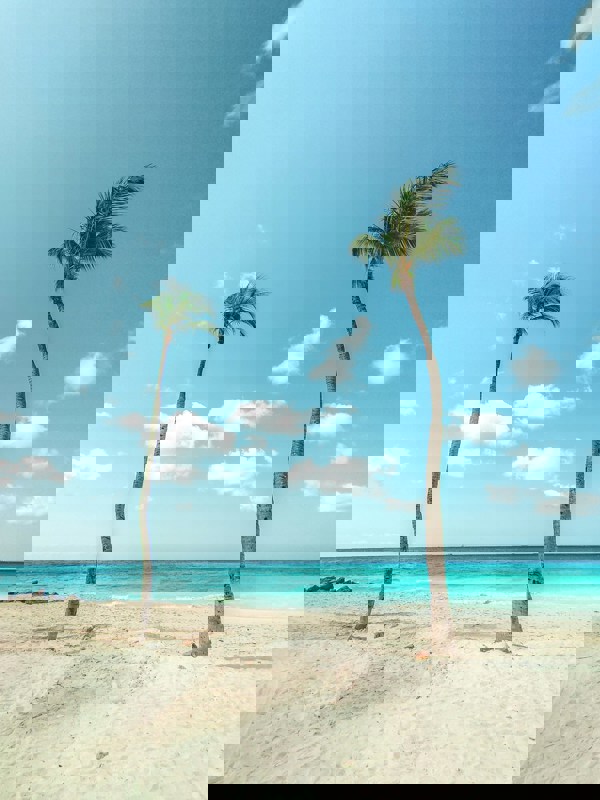 Casa Del Mar Beach Resort Oranjestad Aruba