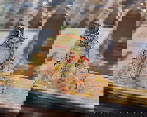 RCI Chef's Table 3.JPG