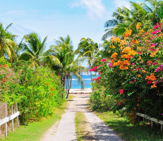 Nevis