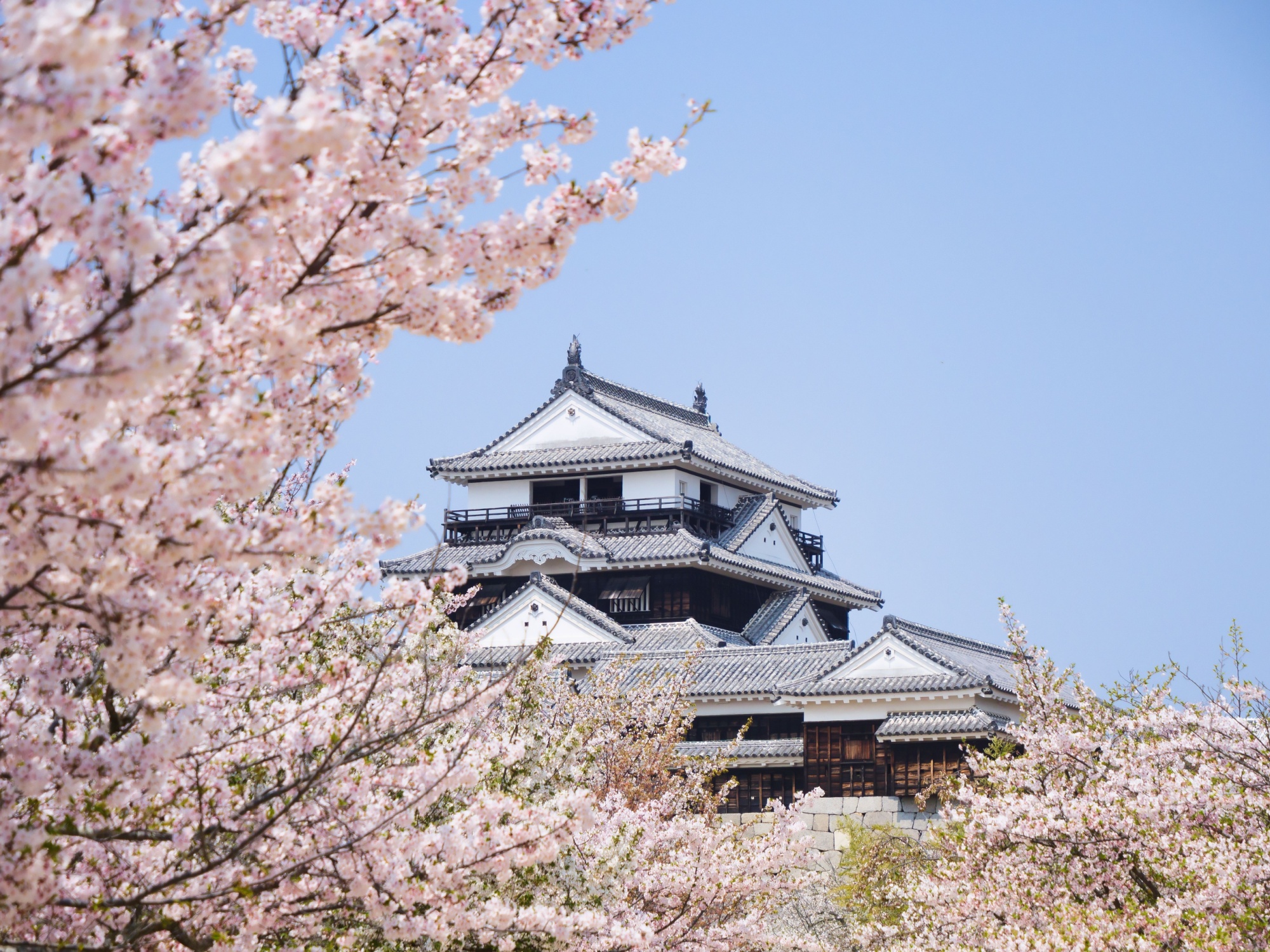 Shutterstock 2149024861 Matsuyama Japan
