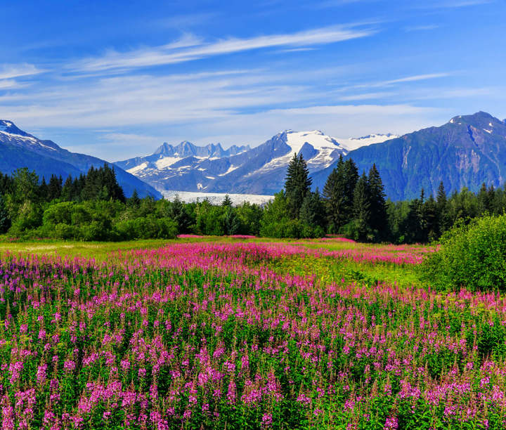 6* Luxury Alaskan Explorer: Scenic Railroad, Glaciers & Skylines