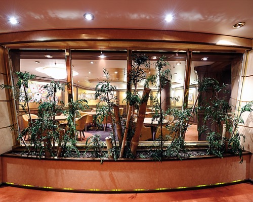 MSC Musica Class card room3.jpg