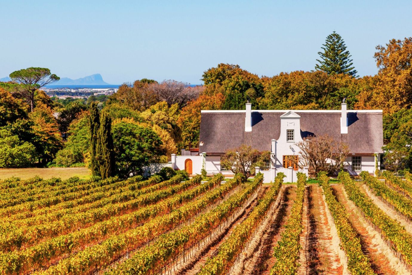 Groot Constantia Estate
