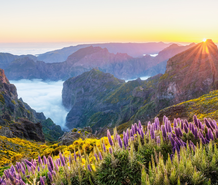 No-Fly Canary Islands Sunshine & Portugal Charm
