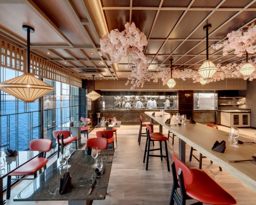 Explora I - Sakura 2.jpg